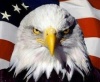 Bieradler's Avatar