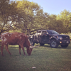 texas8709's Avatar