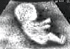 EventHorizon's Avatar