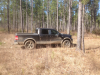 Swamp_Bear's Avatar