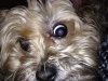 dougiefresh's Avatar