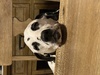 Byte_me's Avatar