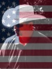 Jmbutler's Avatar