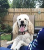 rcairbear's Avatar