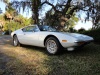 1972 Pantera's Avatar