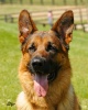 GSD123's Avatar