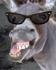 r3donkulas's Avatar