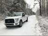 Polar Bear F150's Avatar