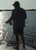 SWFL FlyFisher's Avatar