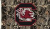 Carolinaboy's Avatar