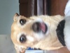 Johnml13's Avatar