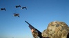 Duckgunner's Avatar