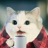 RedDakooter05's Avatar