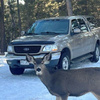 COStruck's Avatar