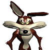 macodi's Avatar