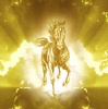 lasrshaw's Avatar