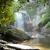 exploringcarolina's Avatar
