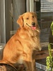 Cooper's-Dad's Avatar