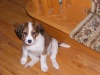 yippy skippy's Avatar