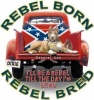 Rebel88's Avatar